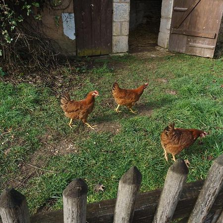 Chambres D'Hote En Dordogne Beauronne Luaran gambar